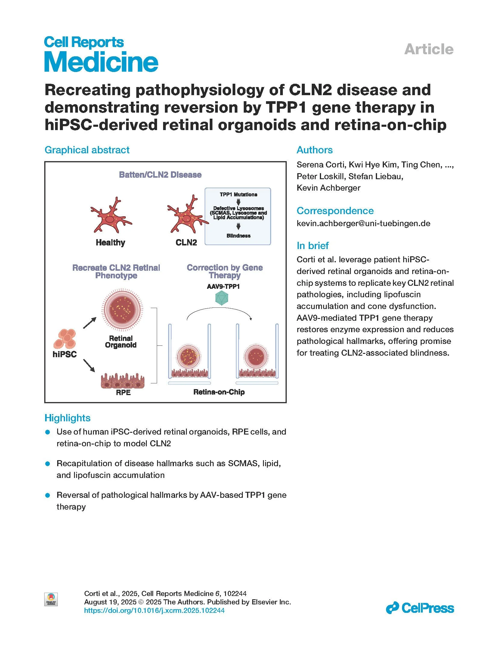 Scientific article titled 'Recreating pathophysiology of CLN2 disease and demonstrating reversion by TPP1 gene therapy in hiPSC-derived retinal organoids and retina-on-chip.' Includes diagrams of healthy versus CLN2-affected neurons, retinal organoids, and retina-on-chip therapy.