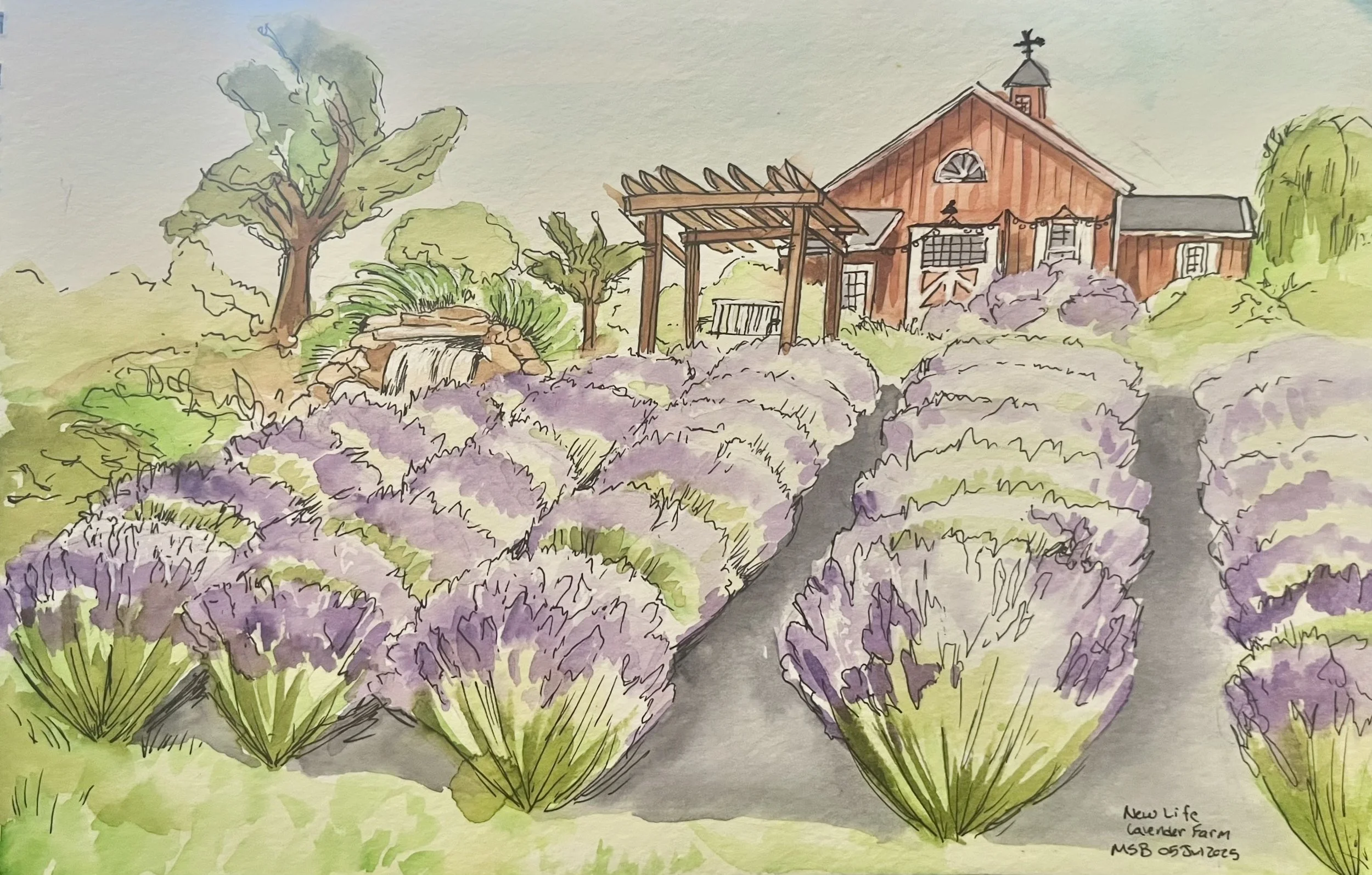 Lavender Farm - Margret.jpeg