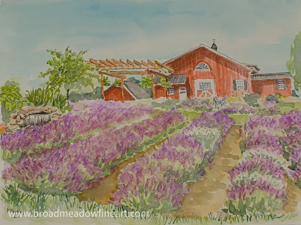 Lavender Farm.jpg