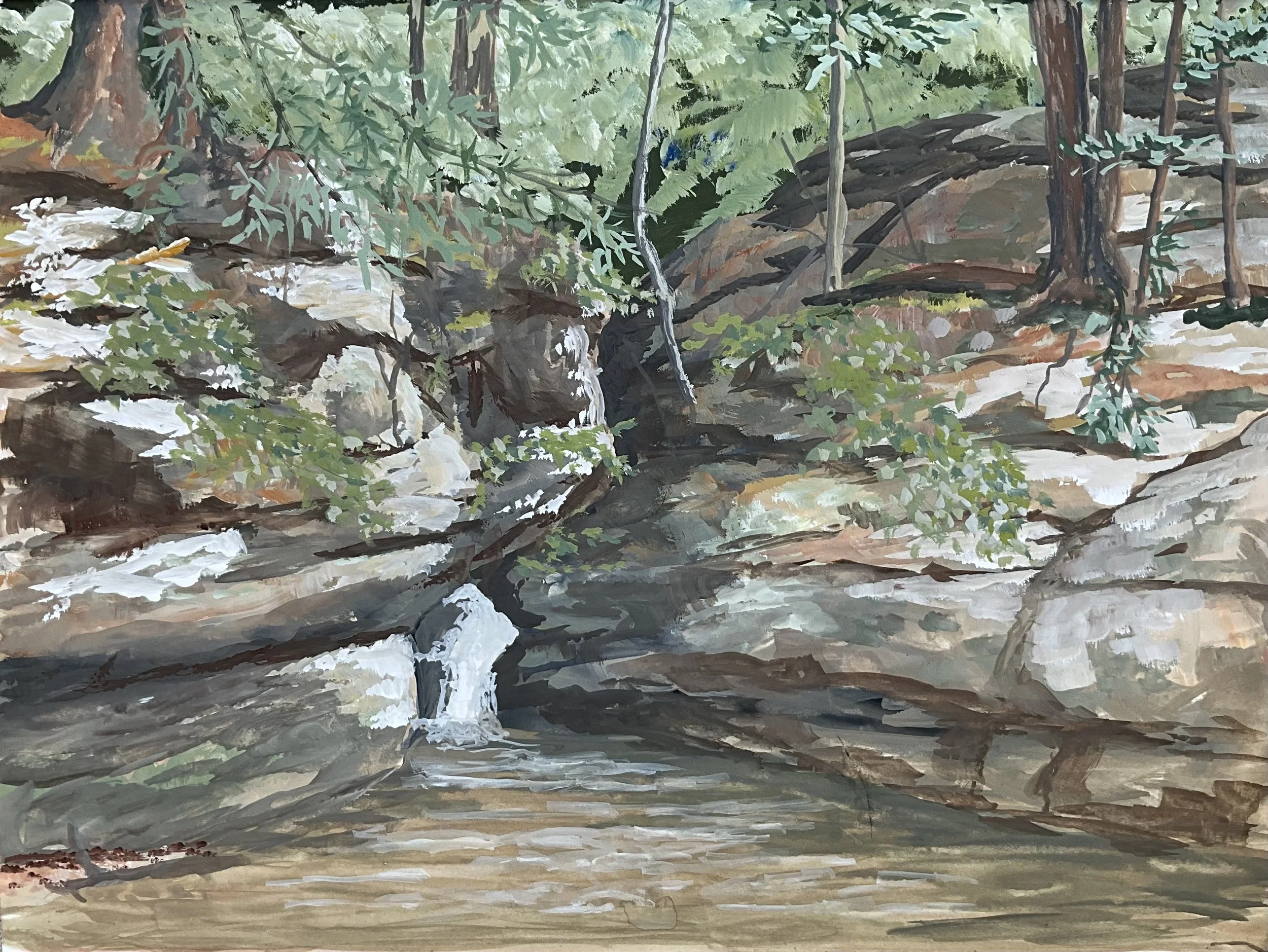 Pewit’s Nest - Kathy.jpeg