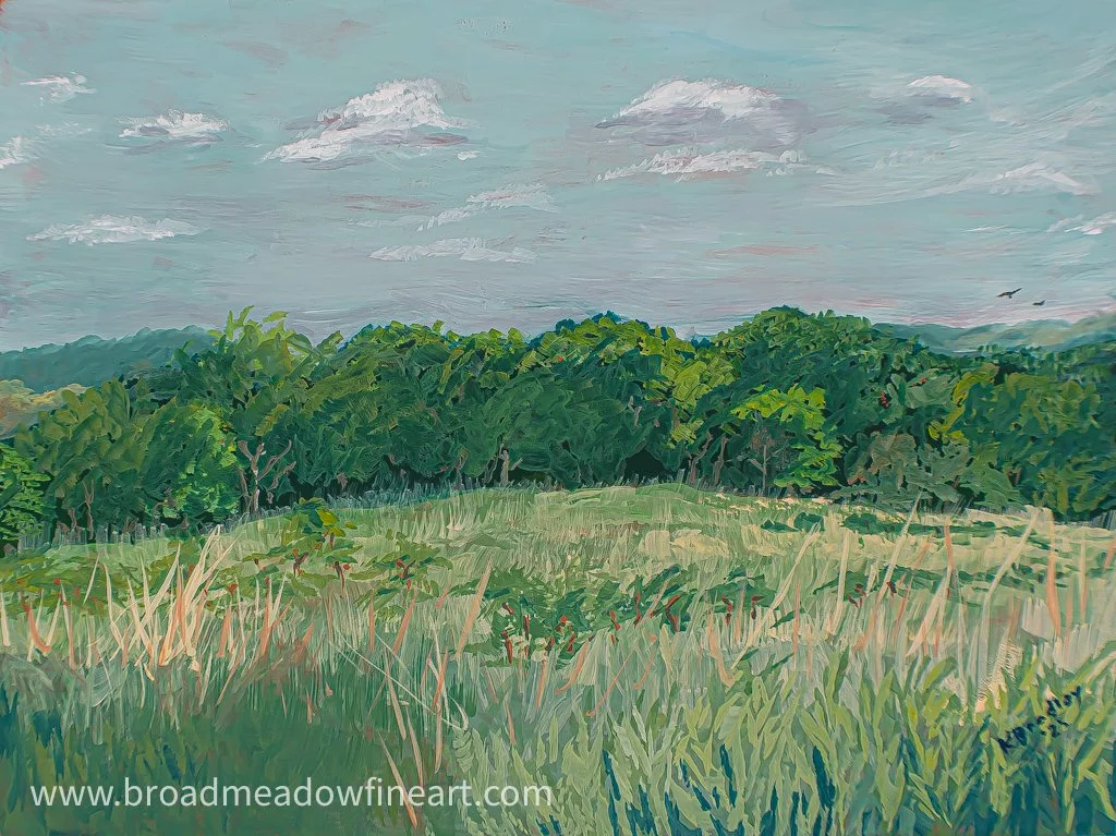 View from Owen Park (Gouache)