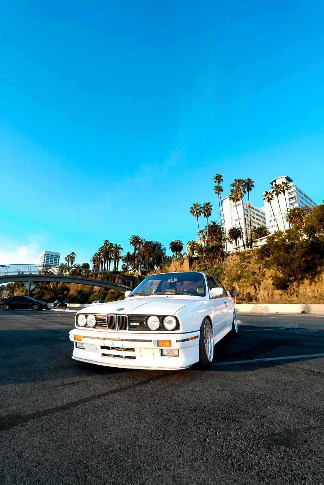 Photo Jan 30 2026, 5 50 19 PM (1).jpg