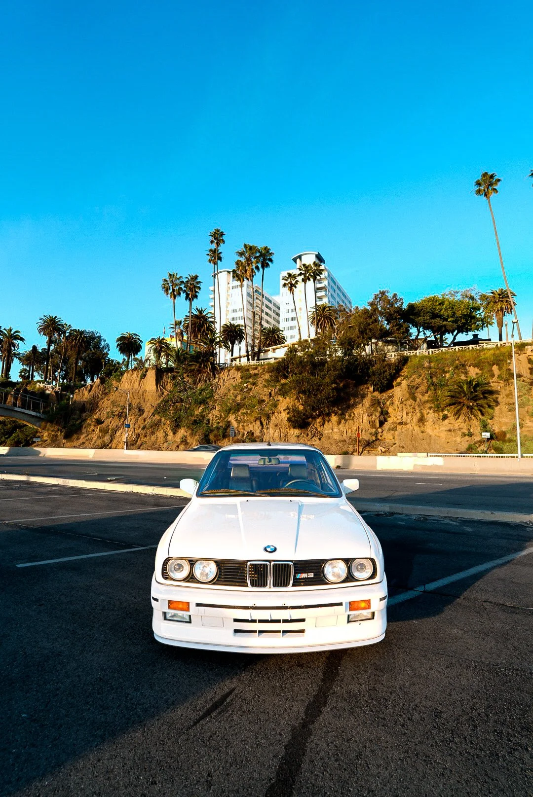 Photo Jan 30 2026, 5 52 38 PM.jpg