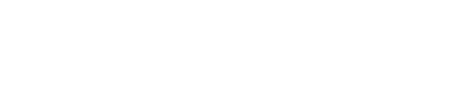 Vanguard Security Group