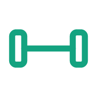 Teal dumbbell icon representing structural resilience and targeted physical optimization.