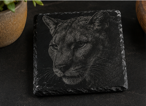 Big Cats Collection4.png