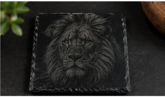Big Cats Collection3.png