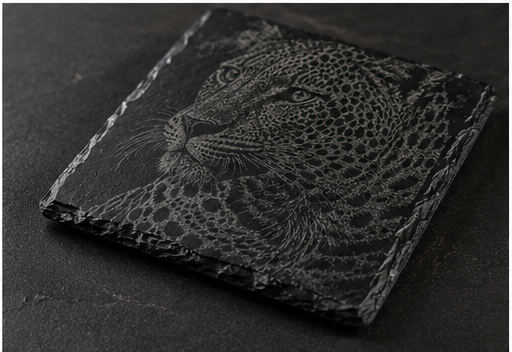 Big Cats Collection5.png