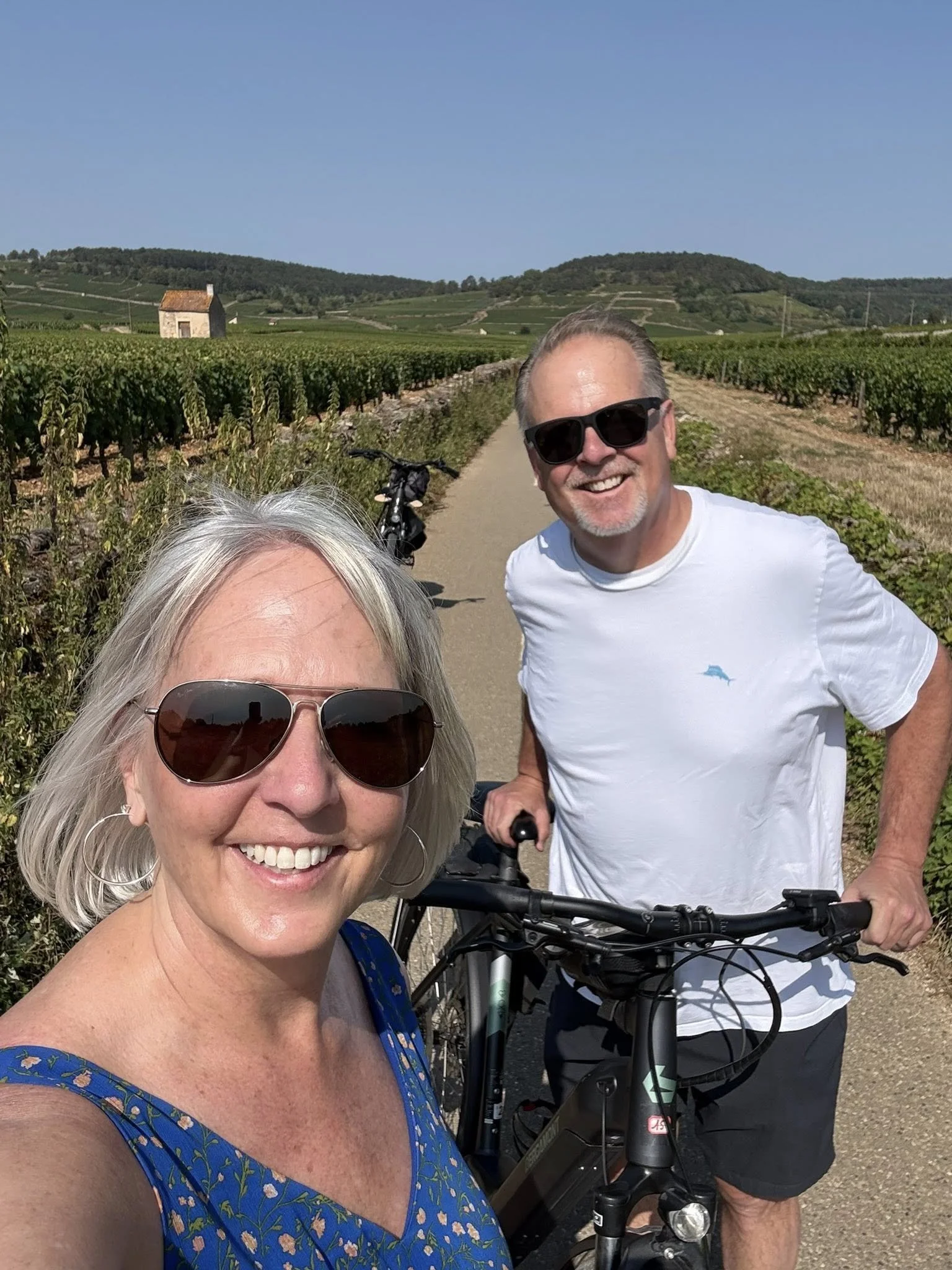 Cote de Beaune, Burgundy, France