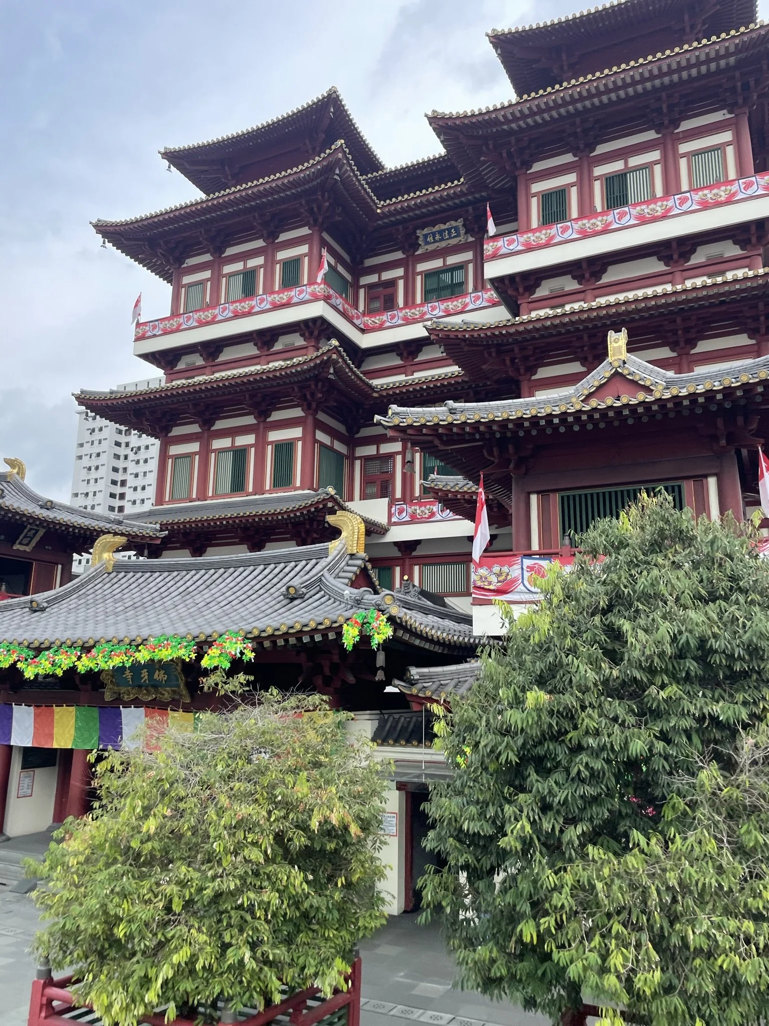 IMG_5700.JPEG