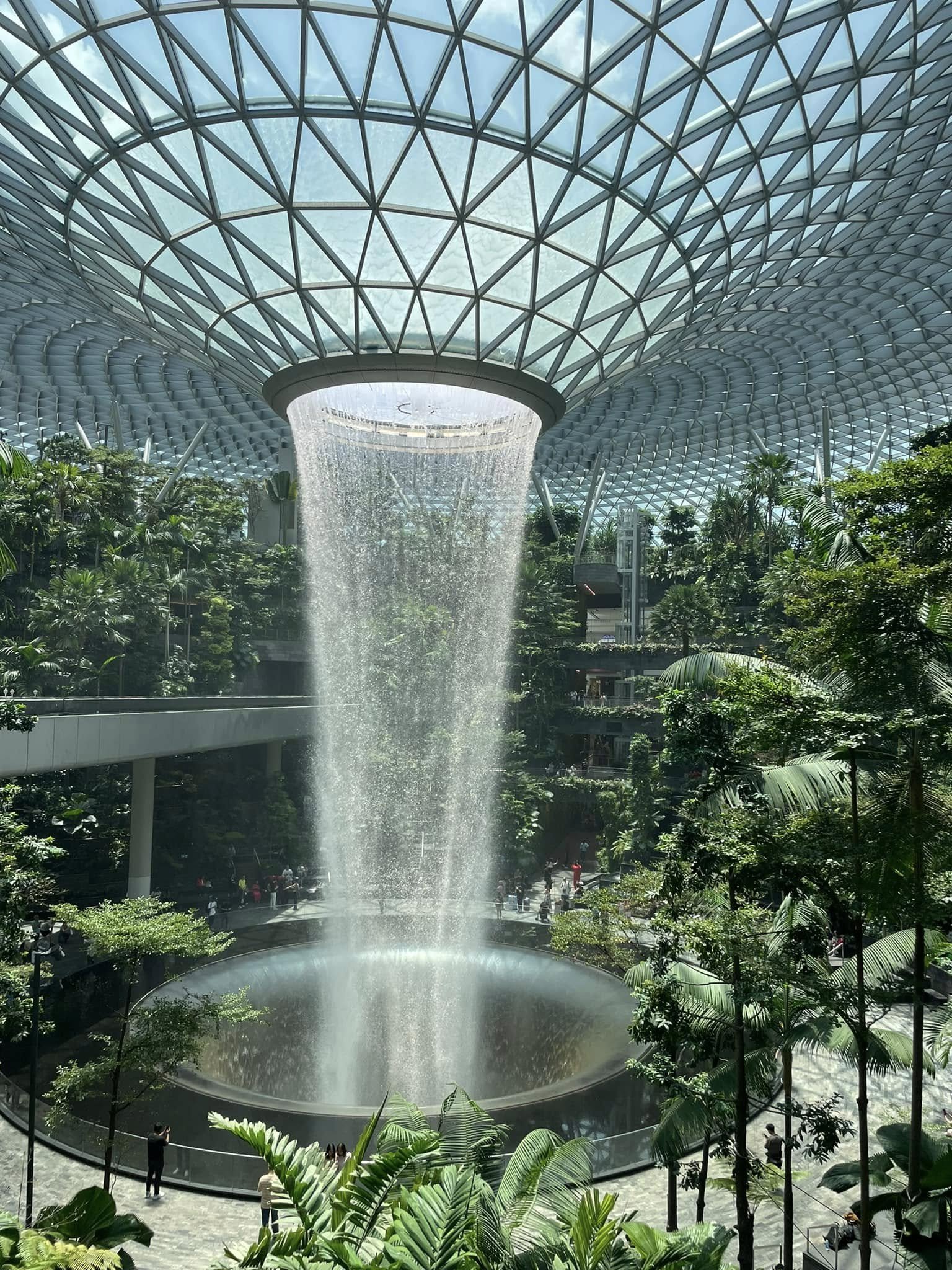 506440377_10236087223029979_8964520690713697416_n.jpg