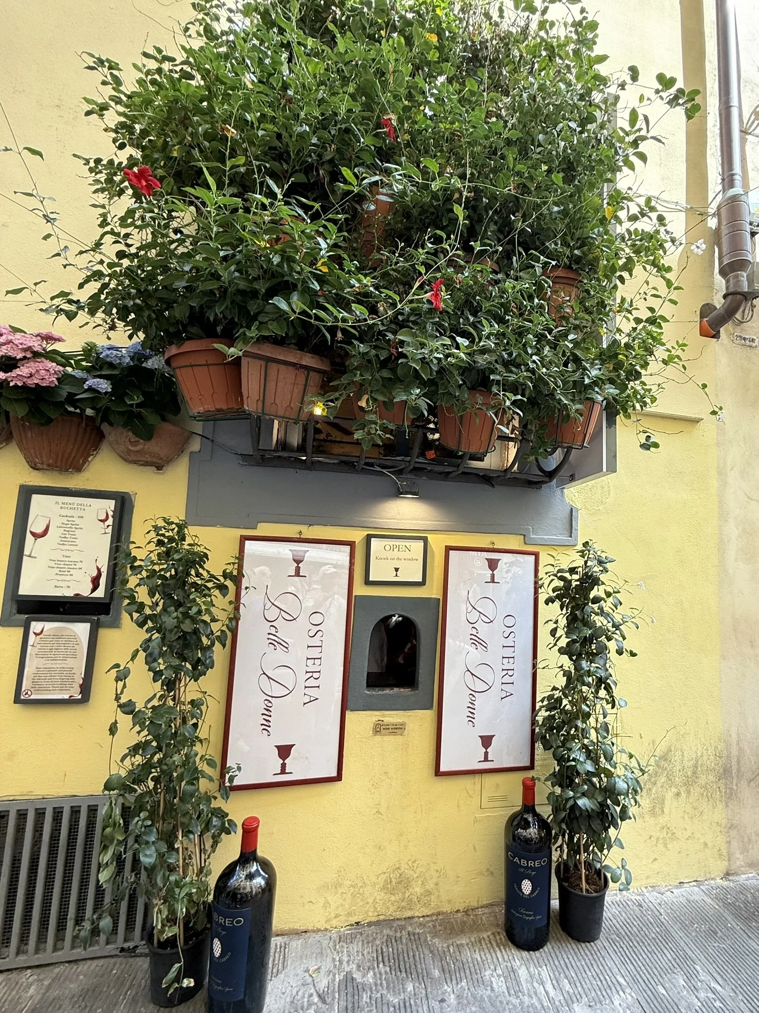 IMG_4186 (1).JPEG