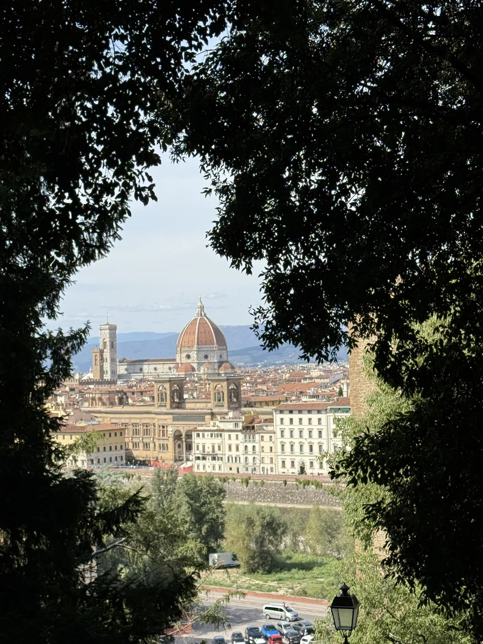 IMG_4236 (1).JPEG