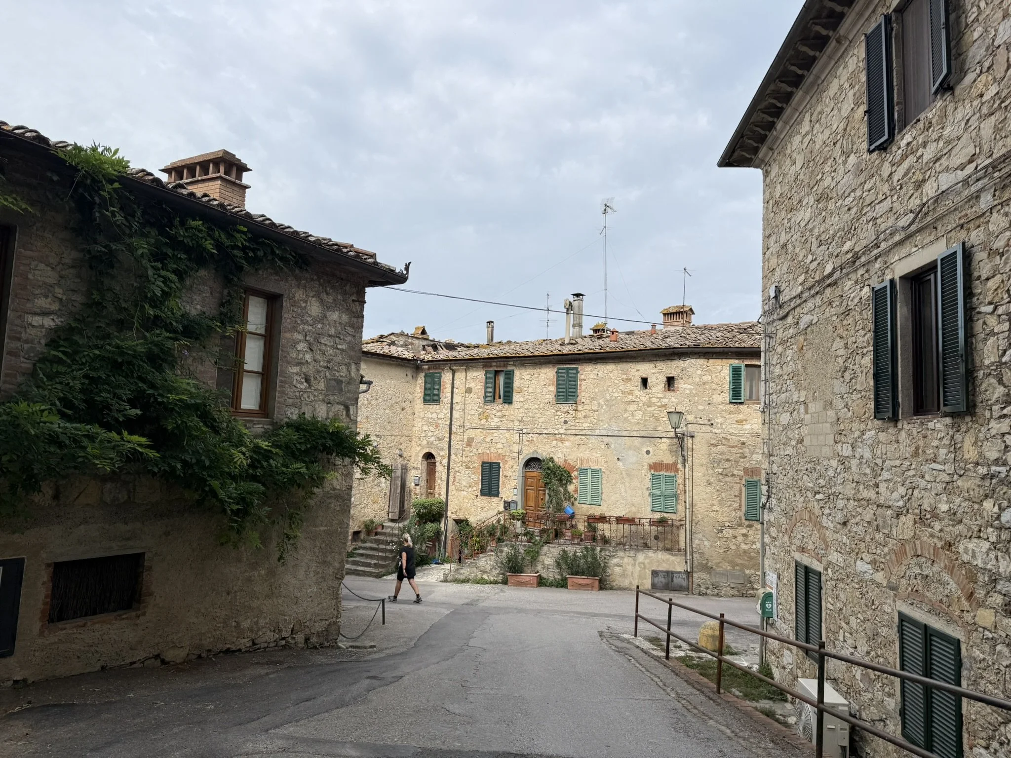 IMG_4554.JPEG