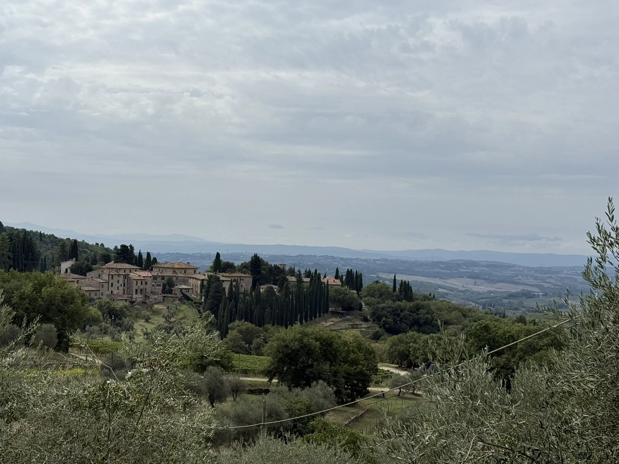 IMG_4558.JPEG
