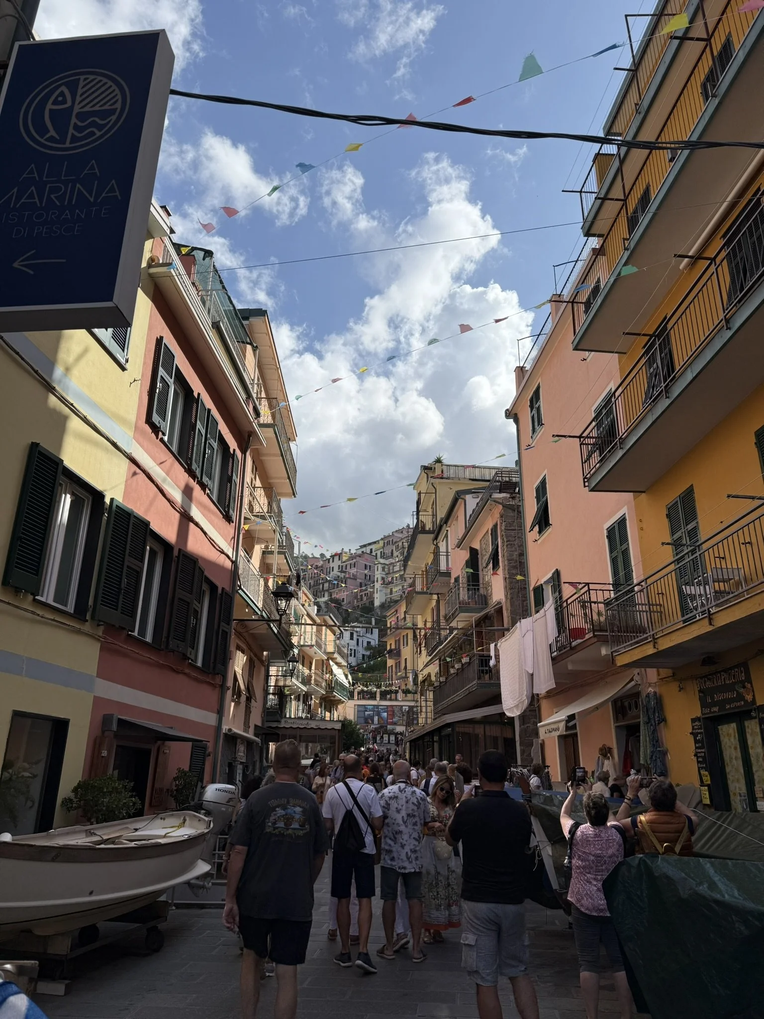 IMG_4963.JPEG