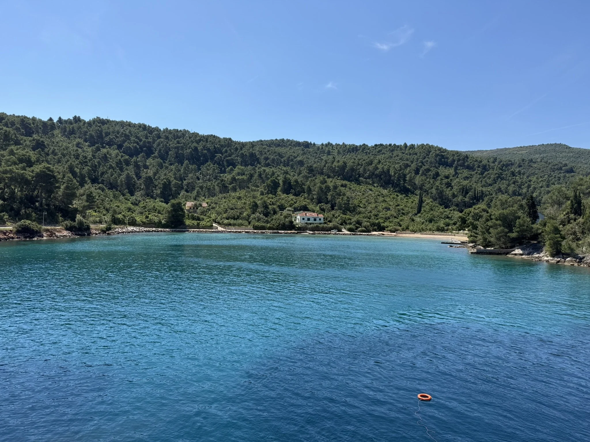 IMG_4387.JPEG