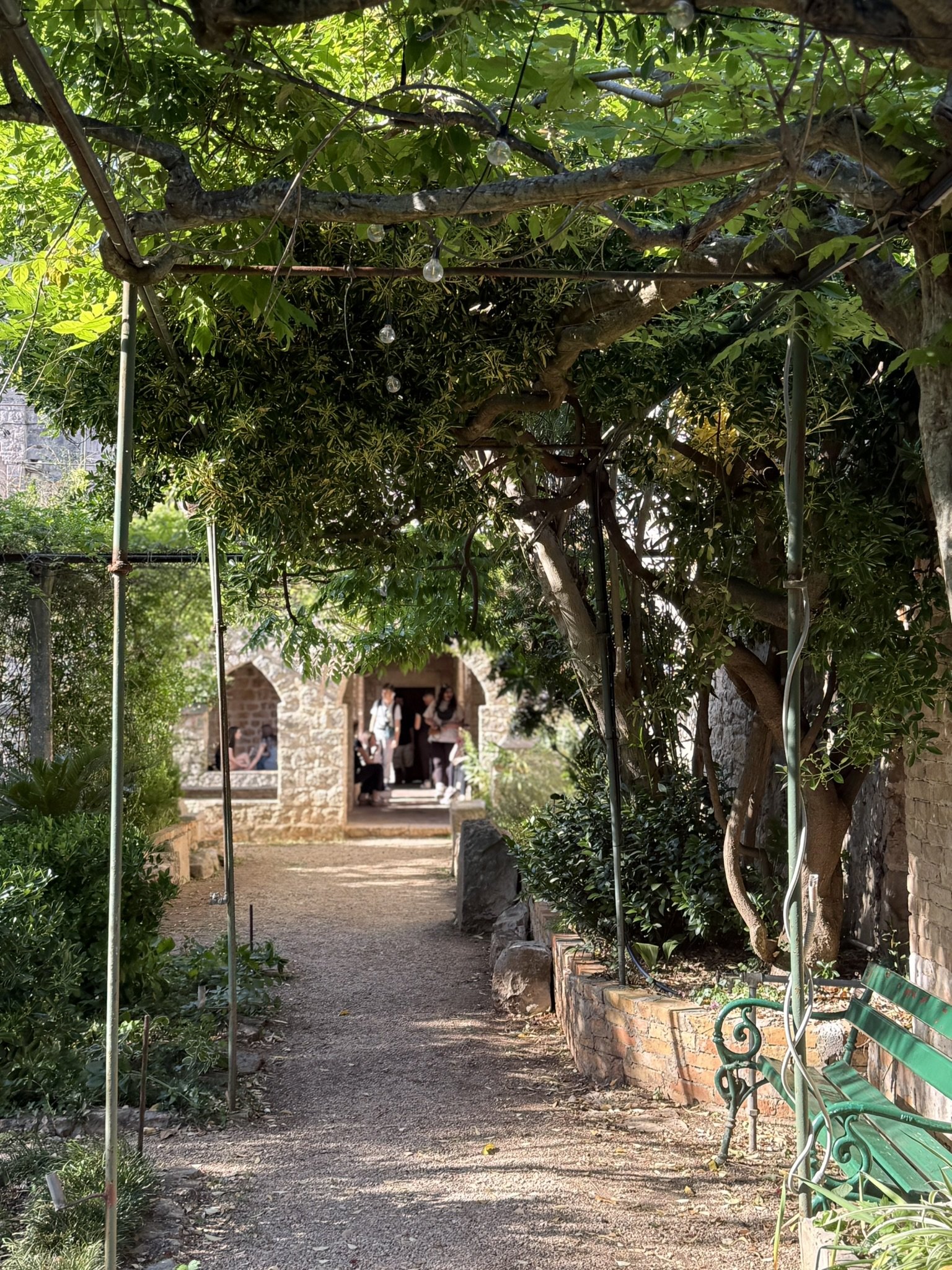 IMG_4531.JPEG
