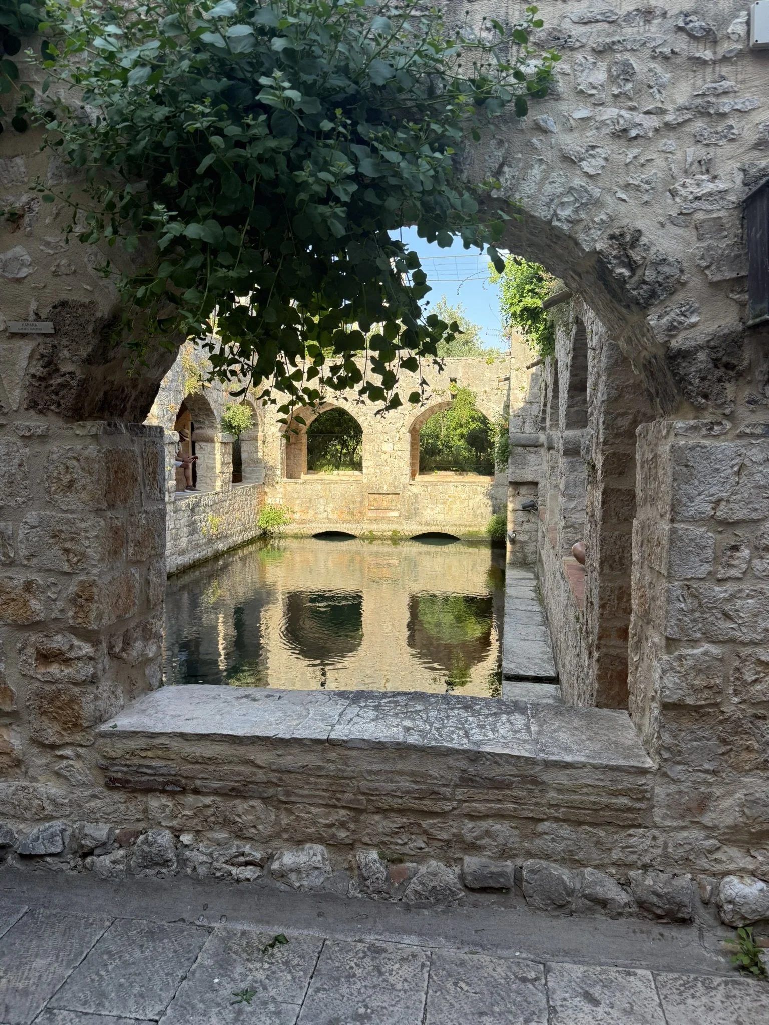 IMG_4538.JPEG