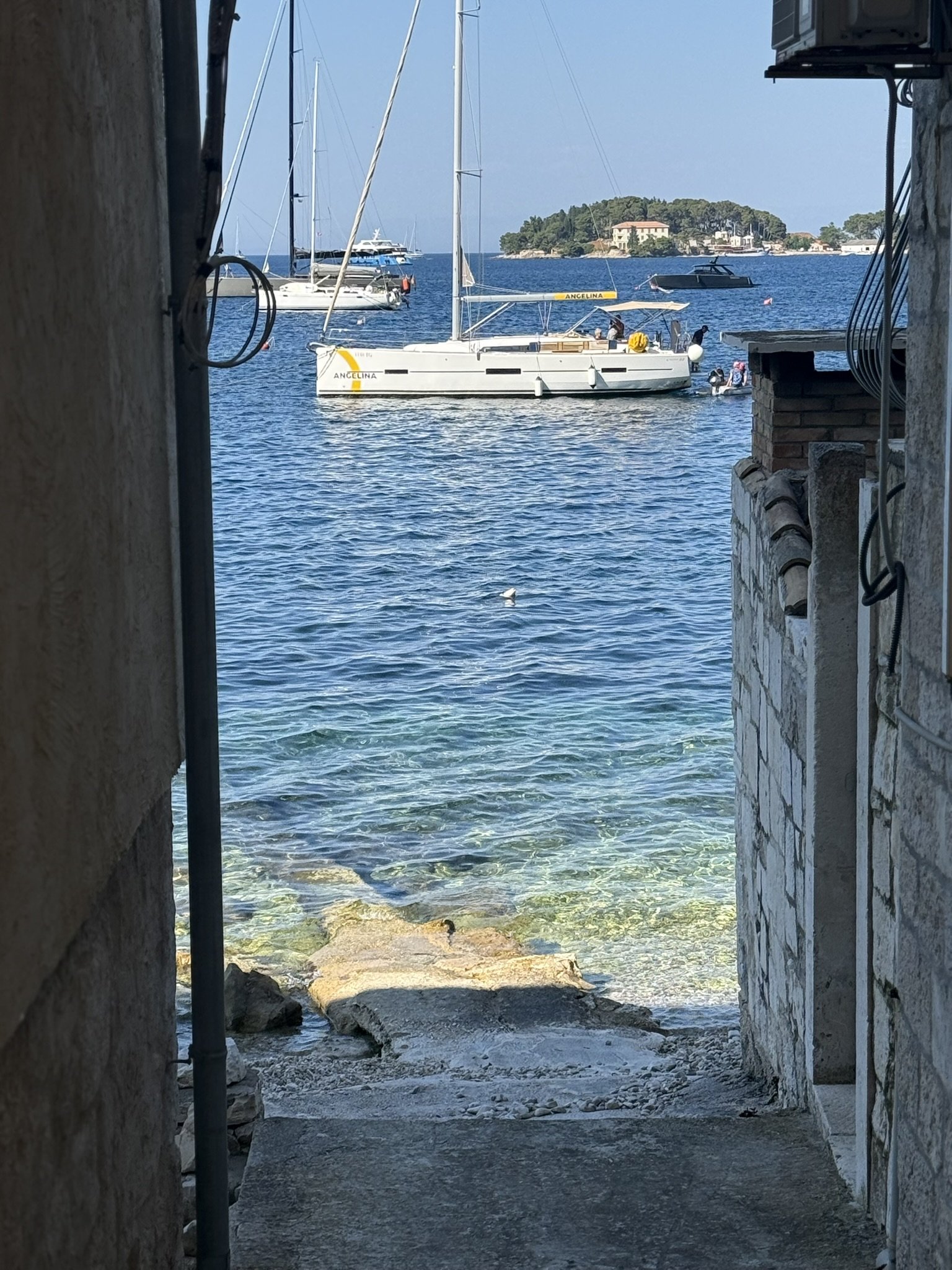 IMG_4869.JPEG