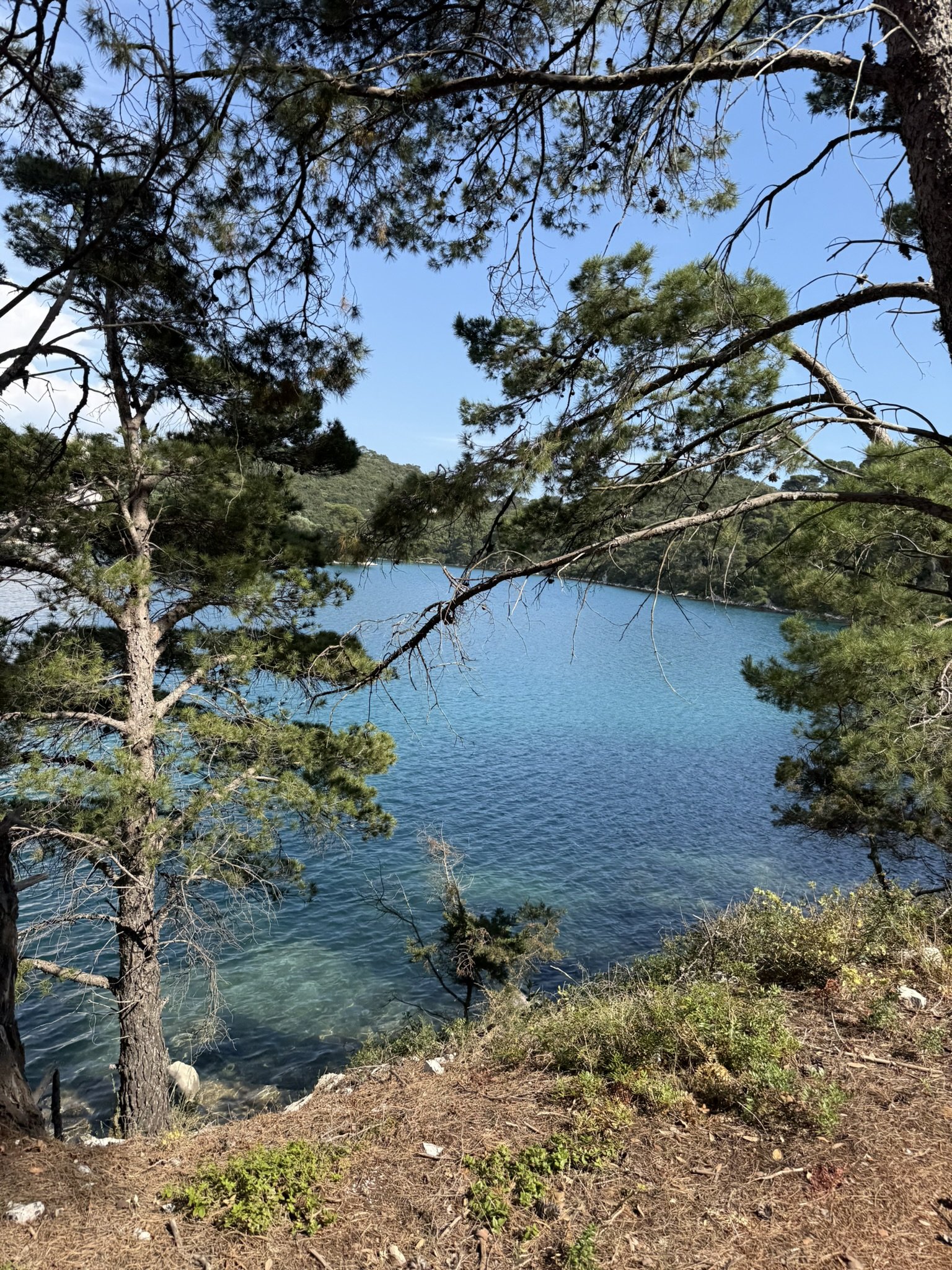 IMG_5349.JPEG