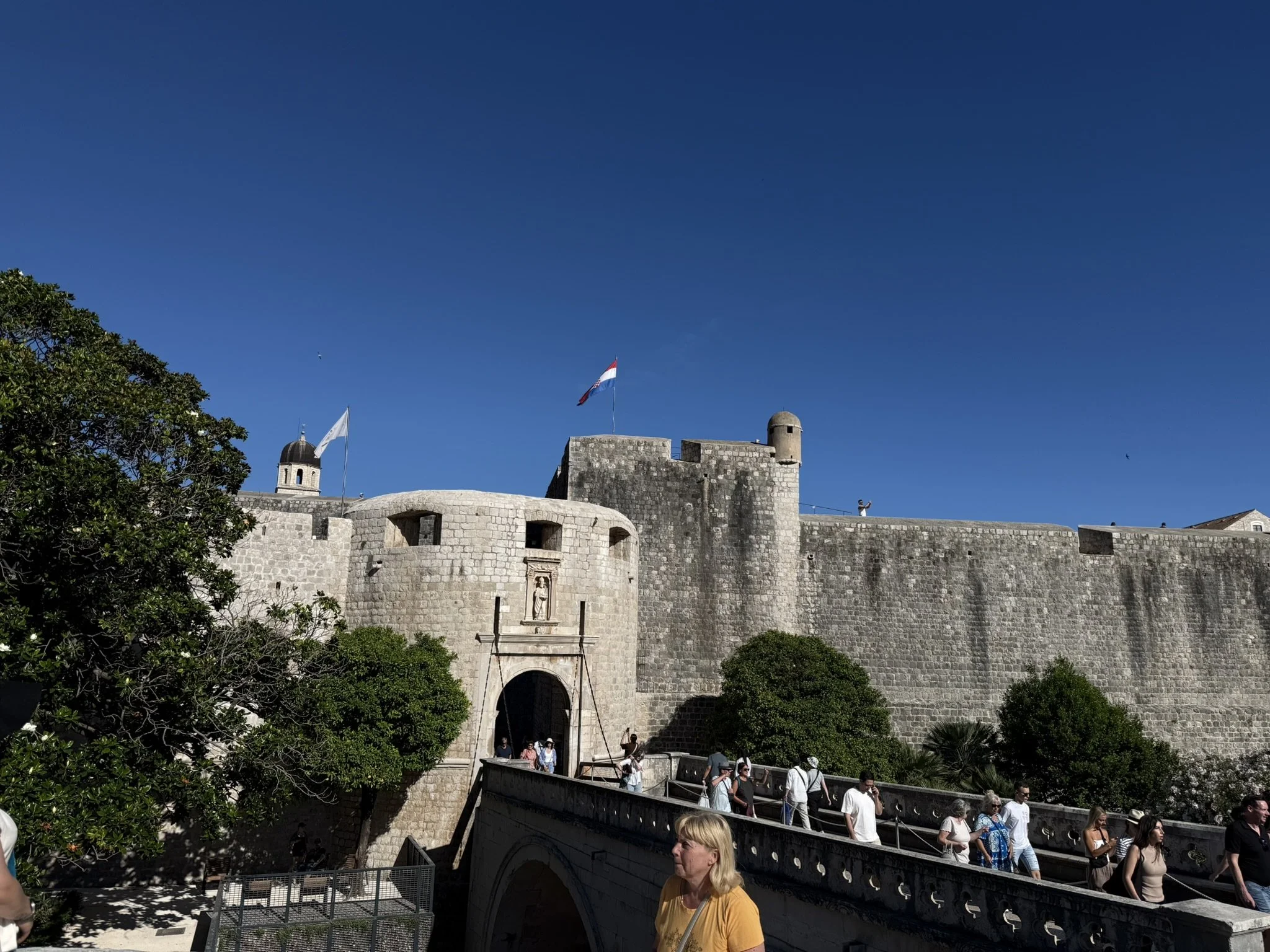 IMG_5559.JPEG