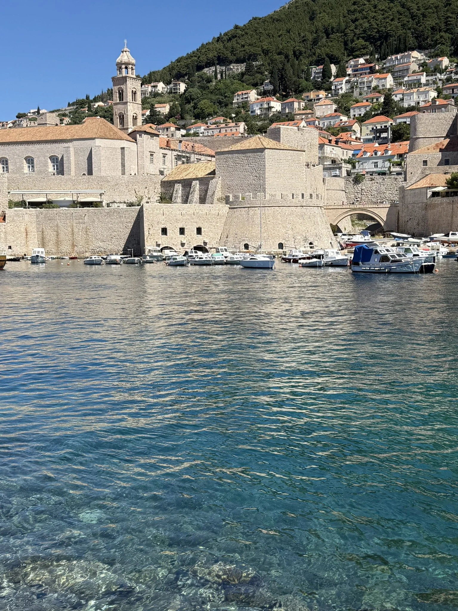 IMG_5659.JPEG