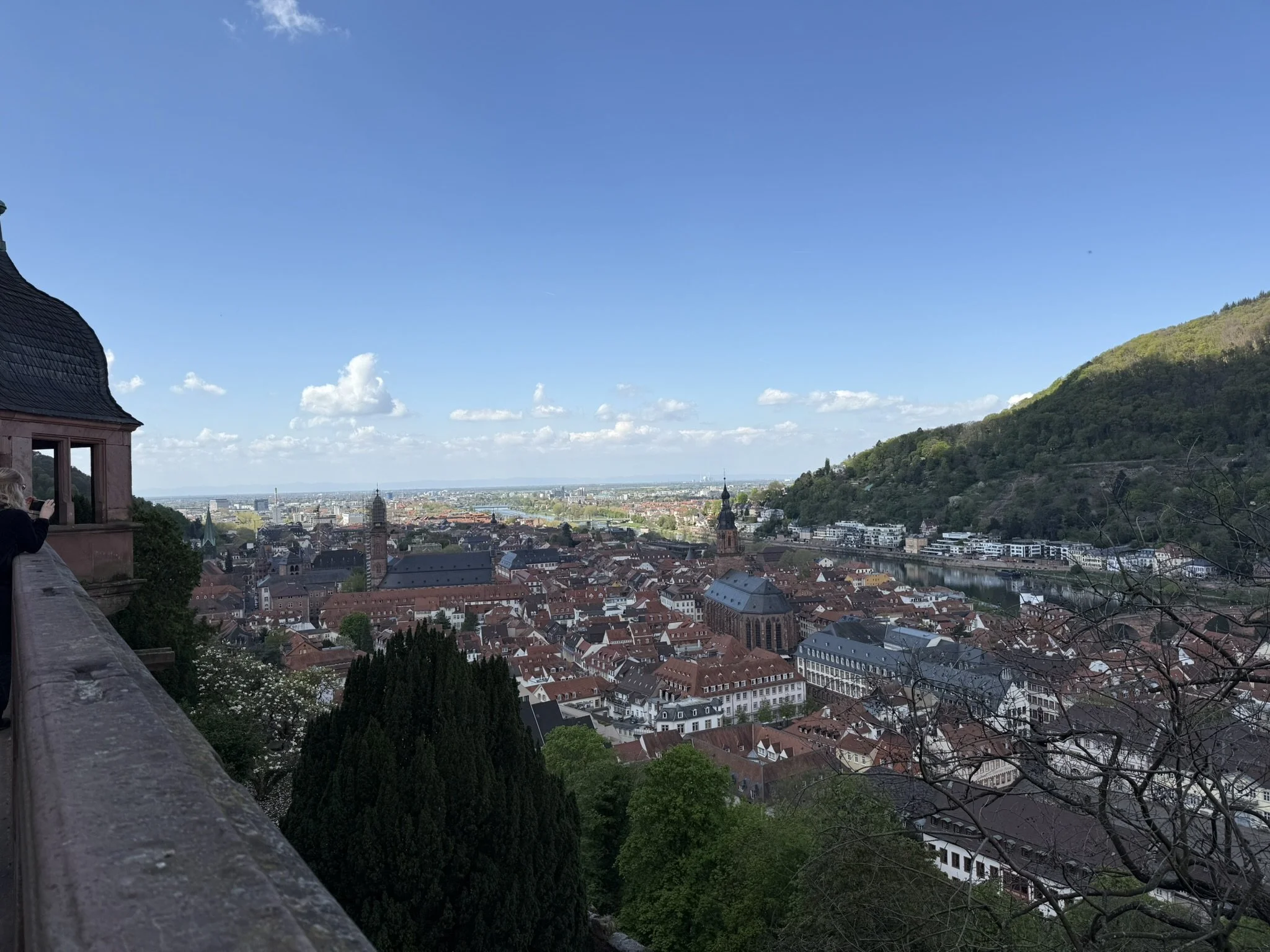 IMG_5222.JPEG