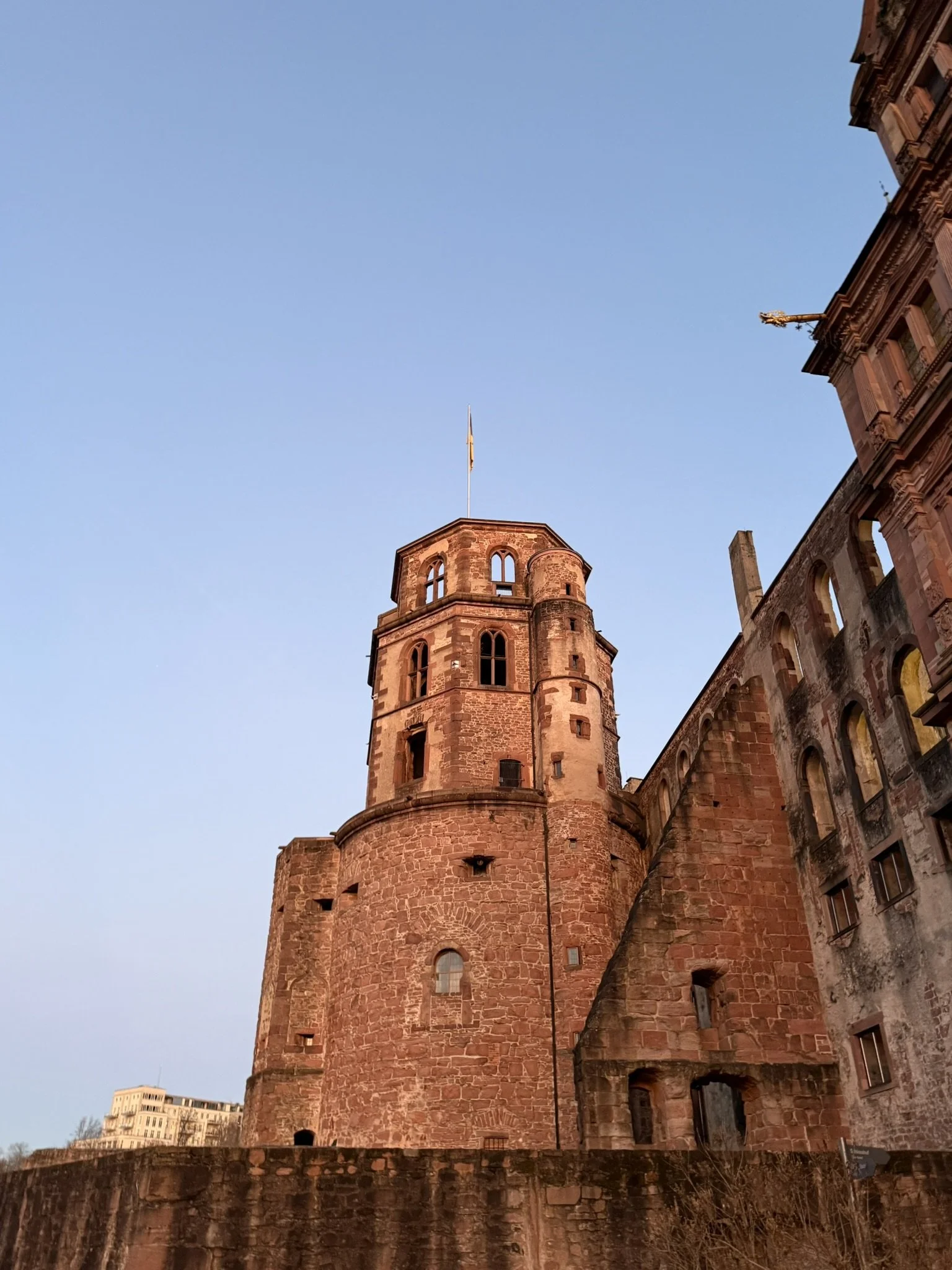 IMG_9395.JPEG