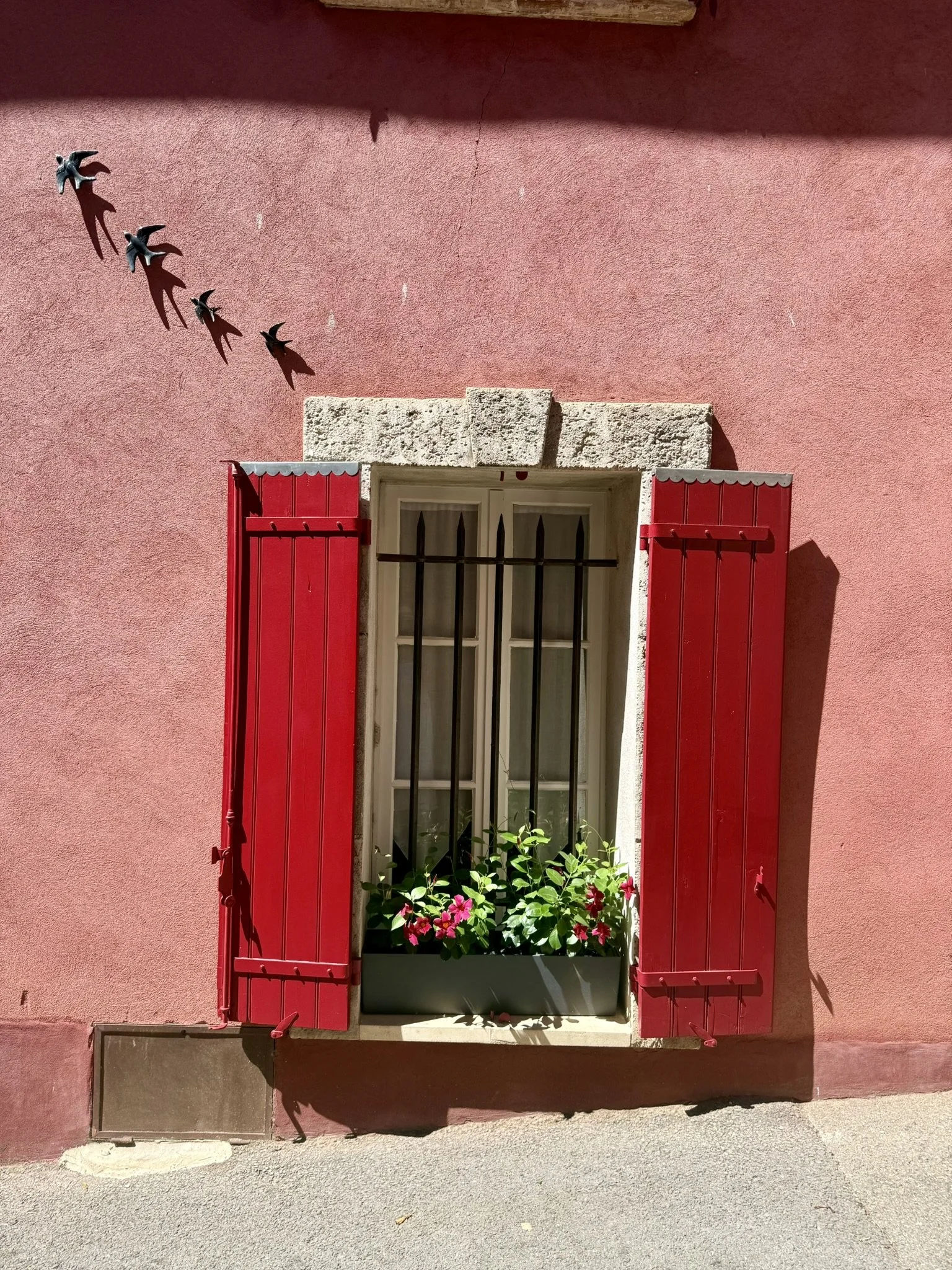 IMG_6819.JPEG