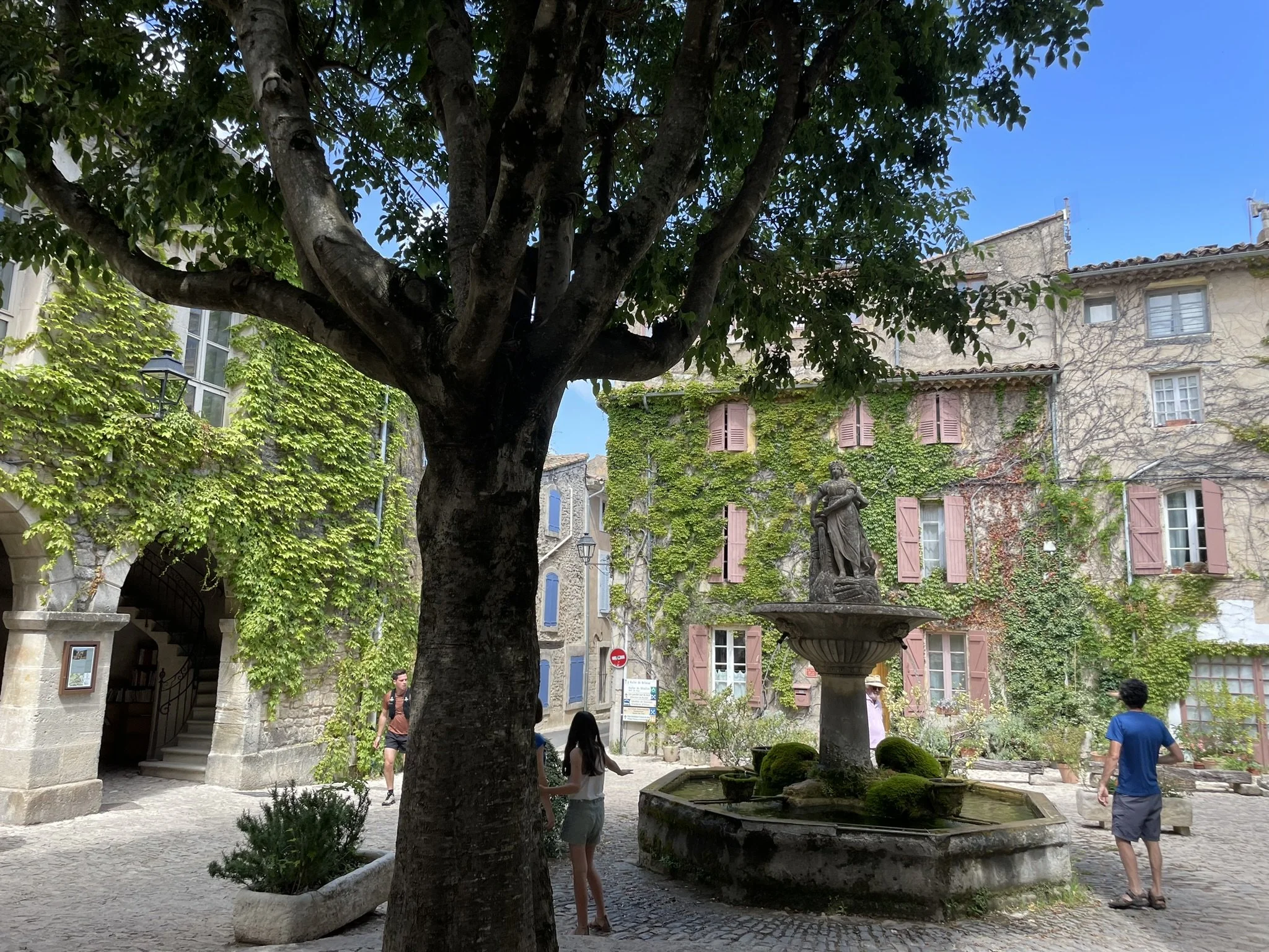 IMG_6659.JPEG