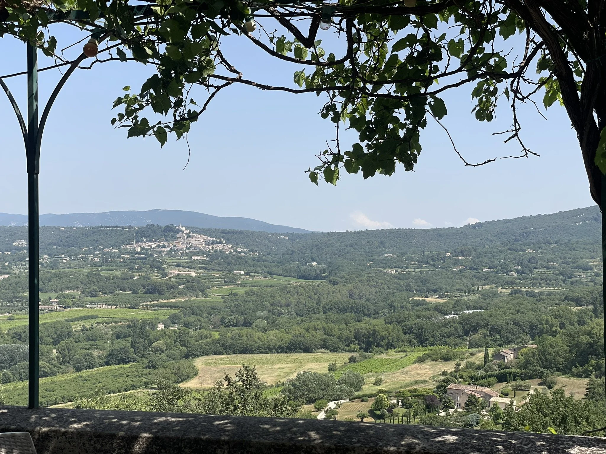 IMG_6416.JPEG