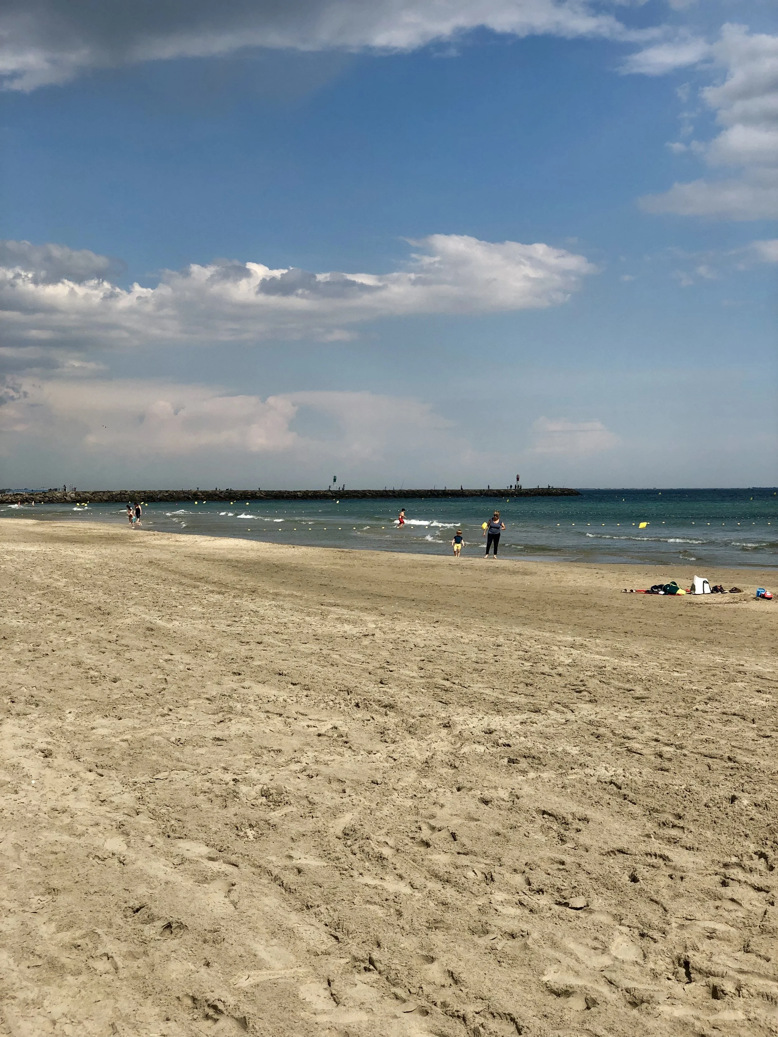 IMG_9173.JPEG