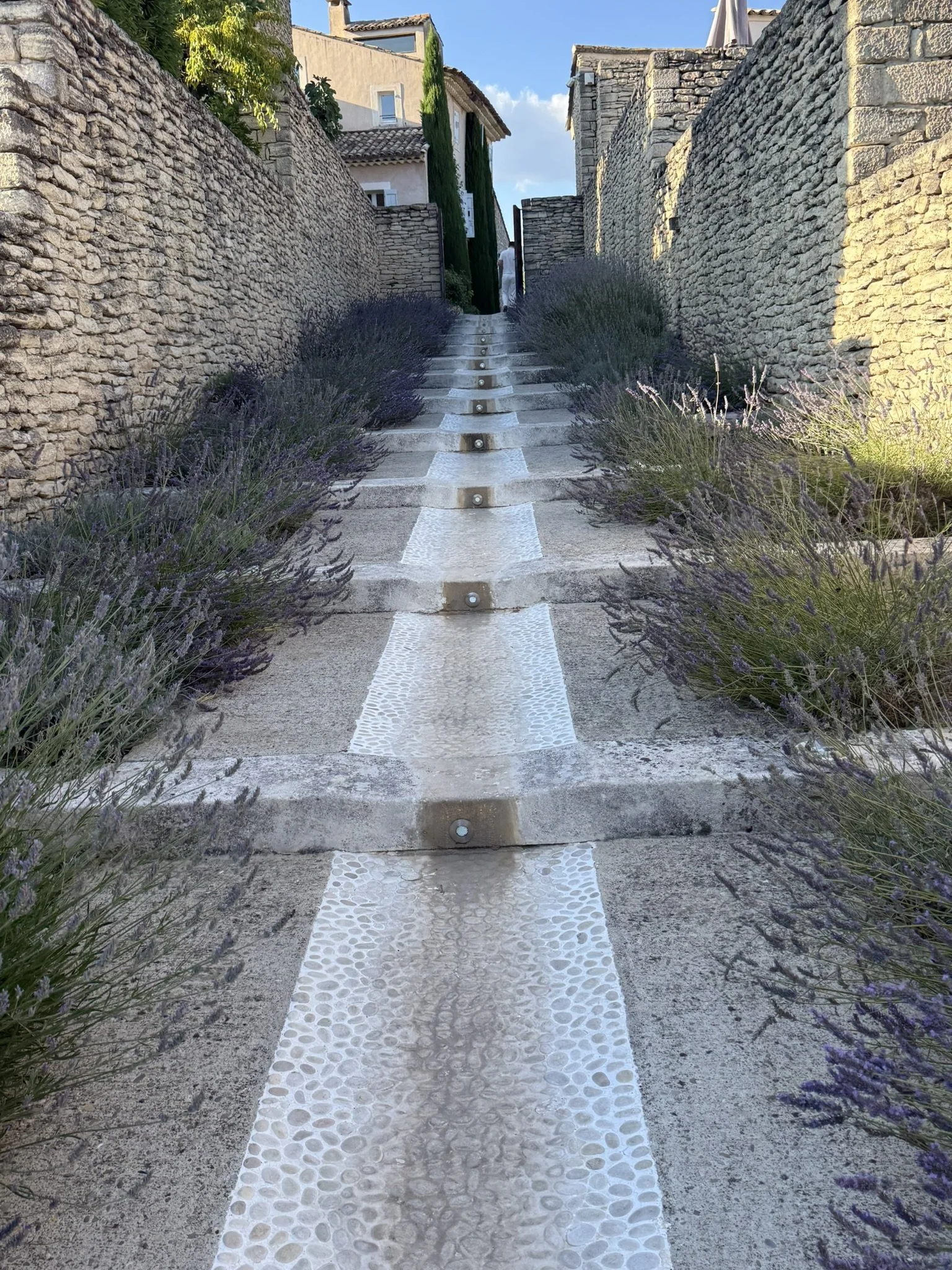 IMG_6623.JPEG
