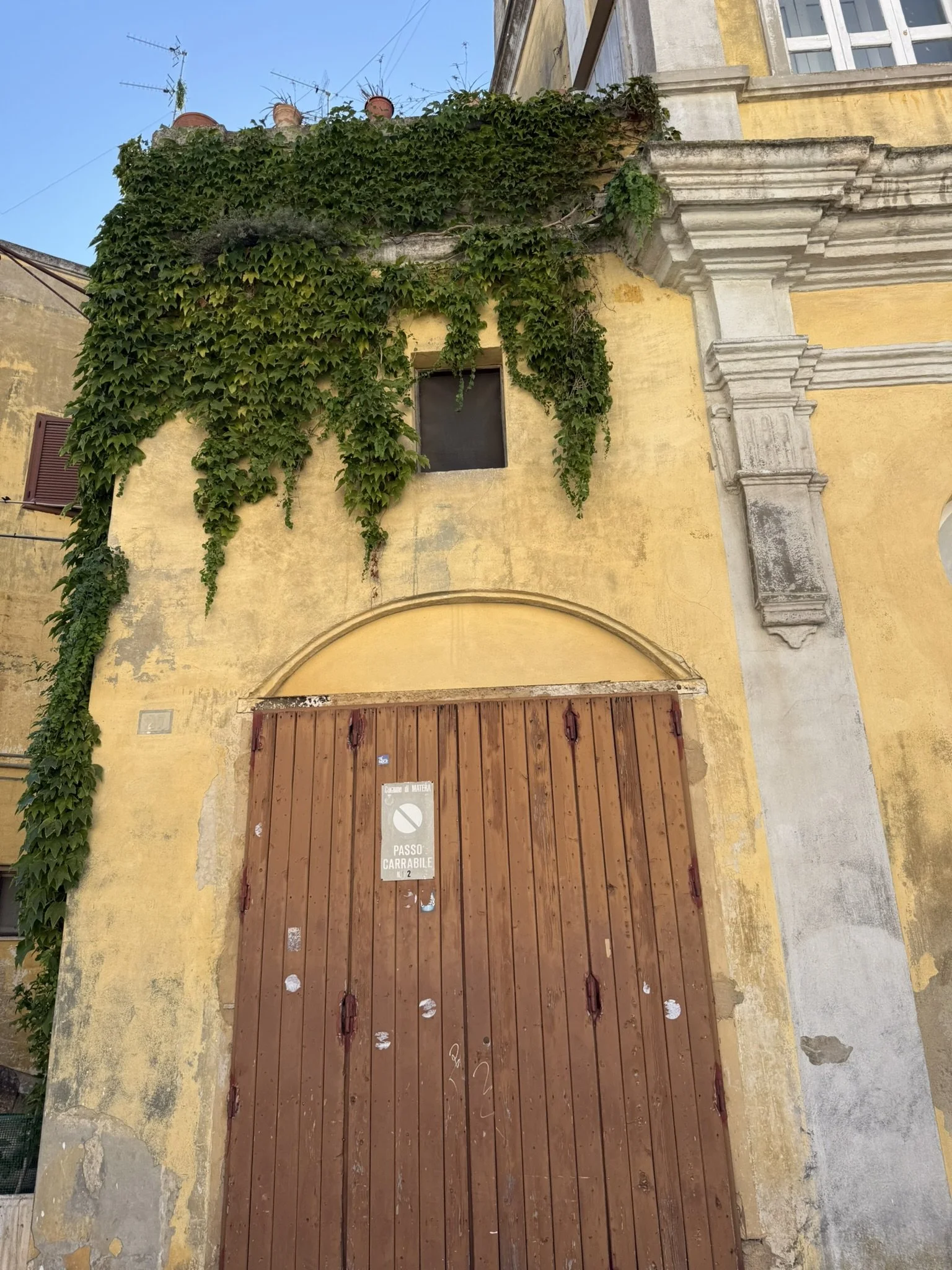 IMG_0994.JPEG