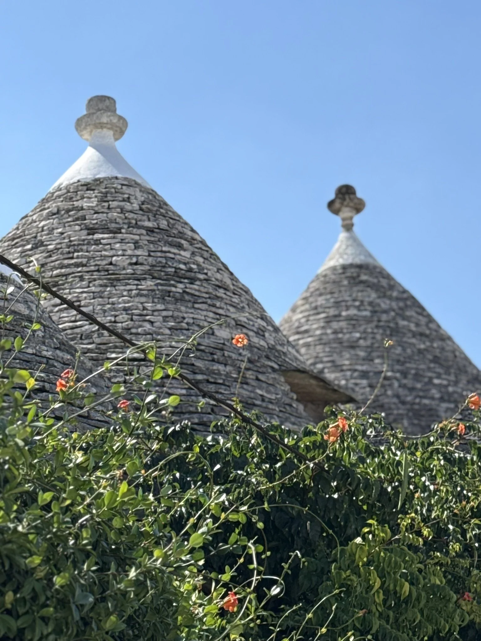 IMG_1450.JPEG