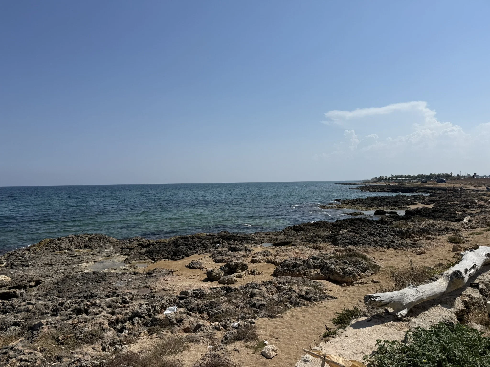 IMG_1739.JPEG