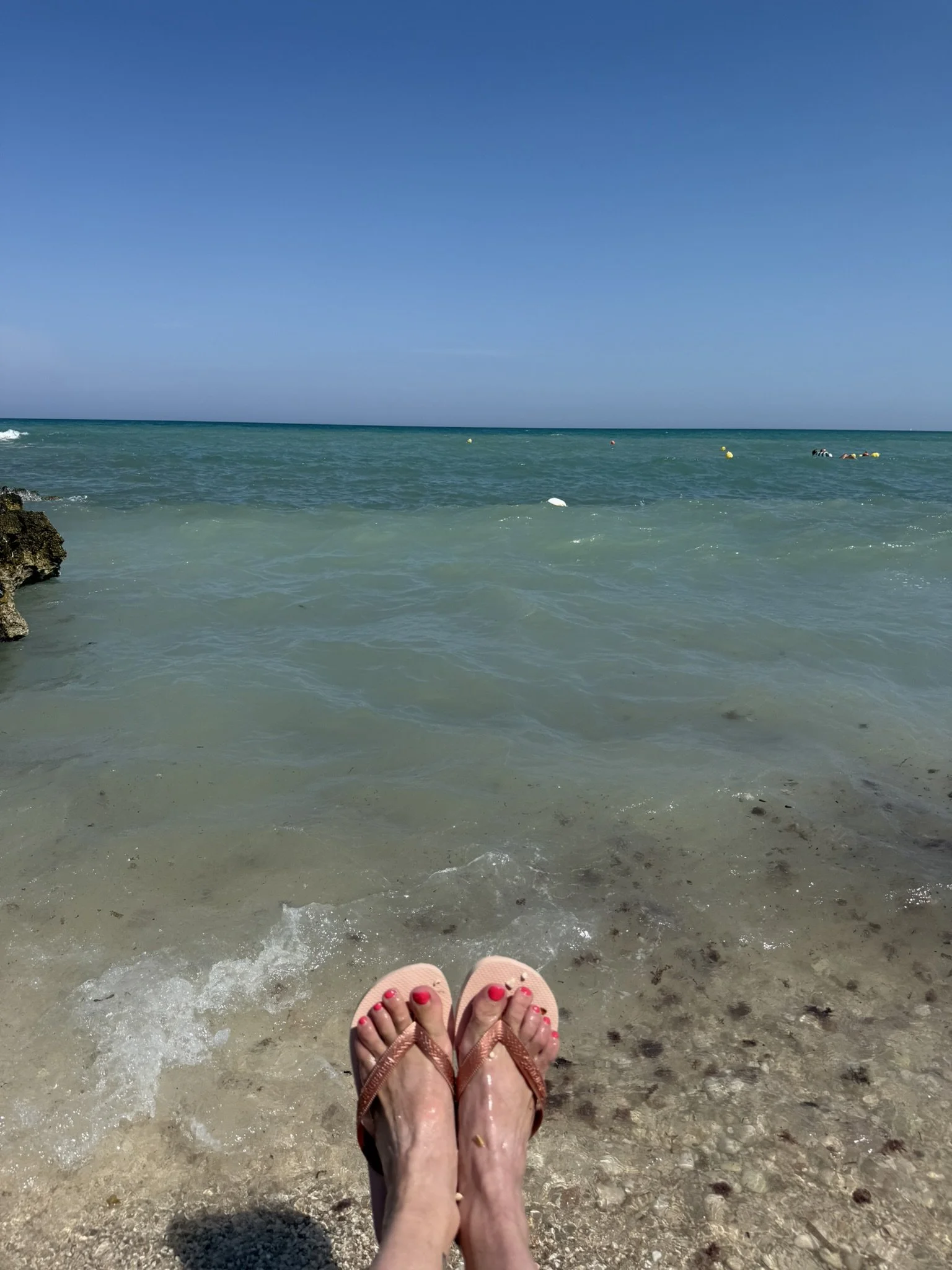 IMG_2026.JPEG