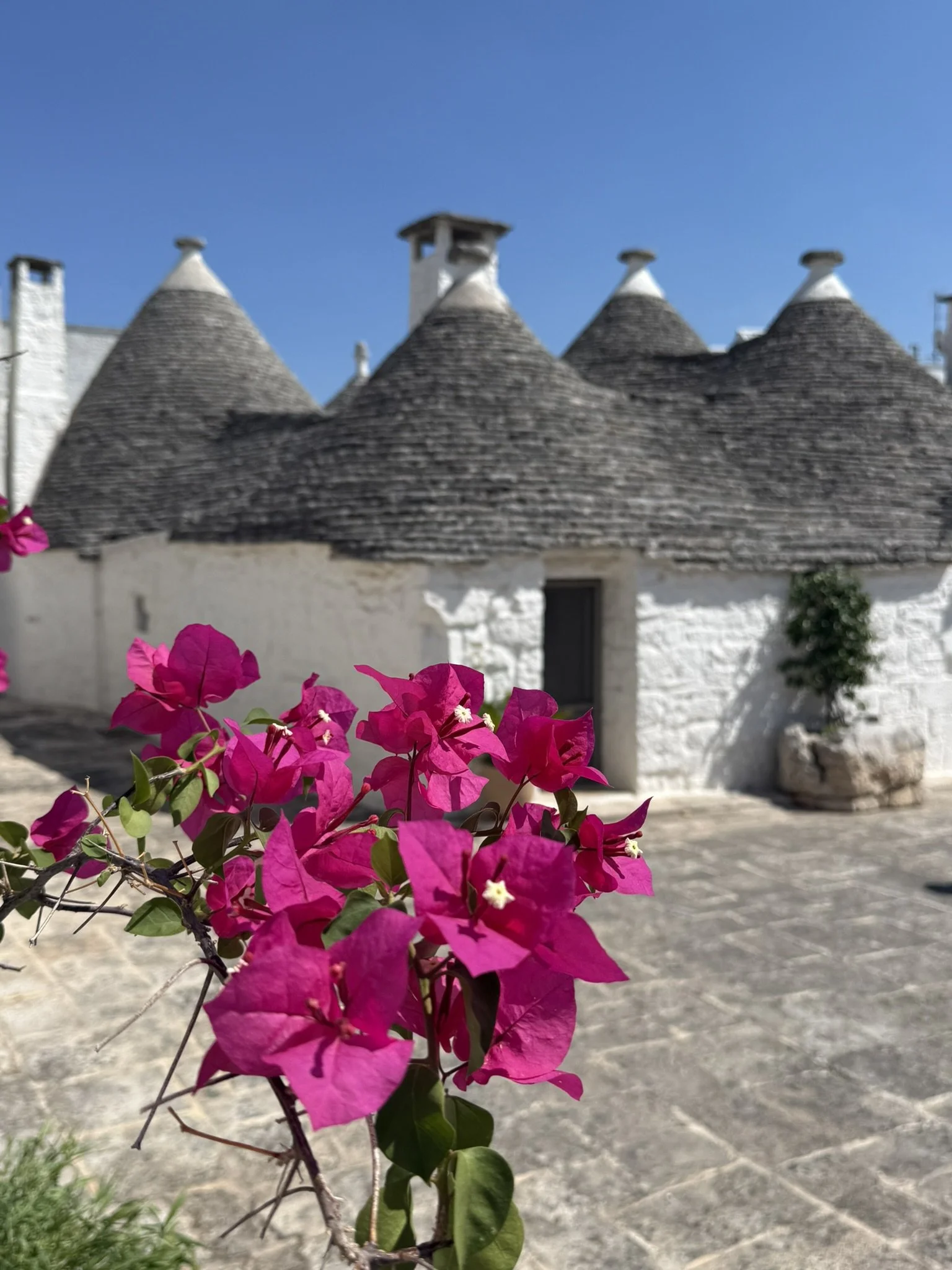 Puglia: Alberobello, Fairy Tale City of Trulli