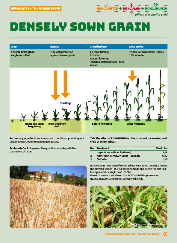 Densely Sown Grain.png