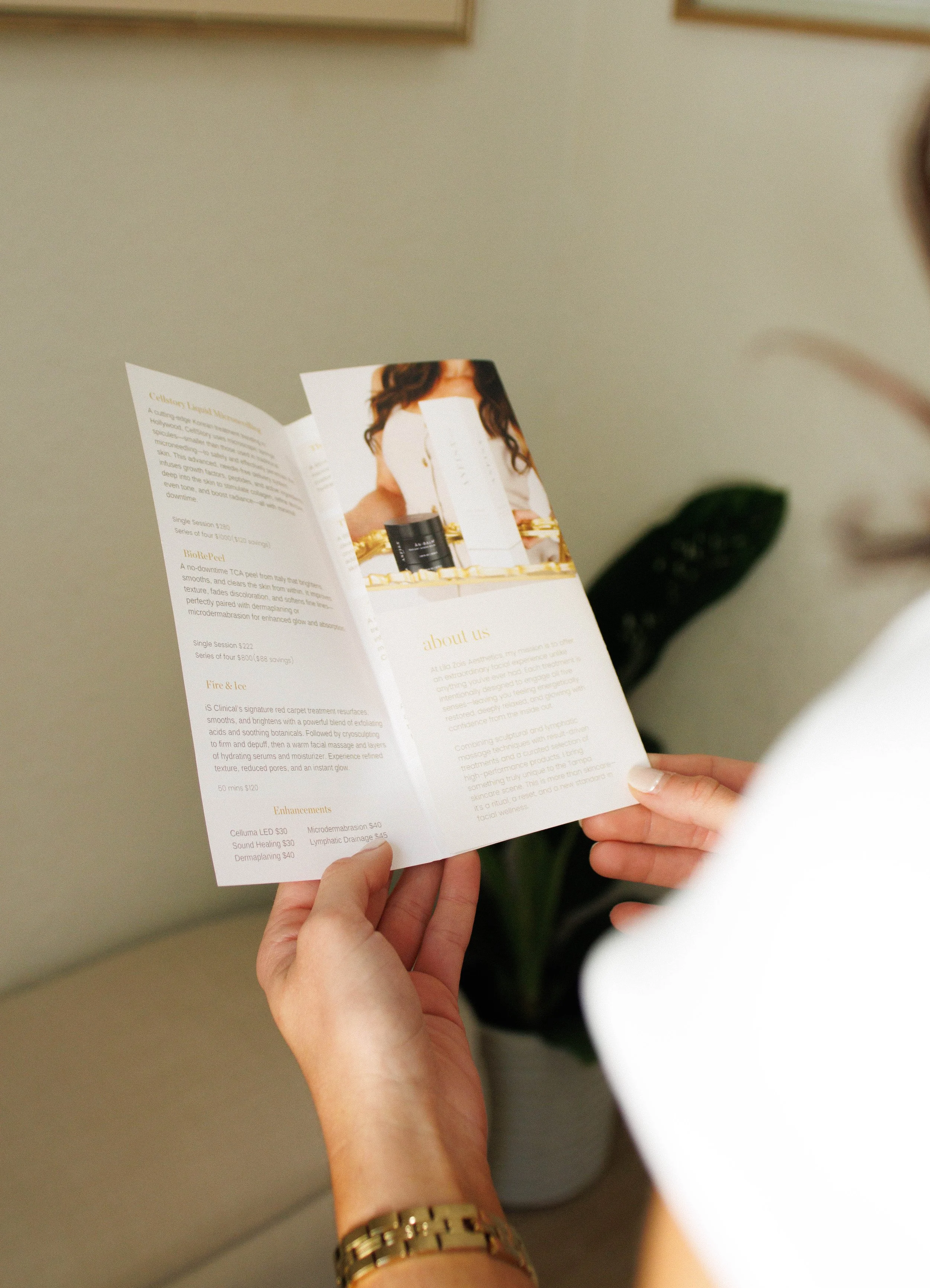 Person holding a brochure, with a potted plant and a white wall in the background.