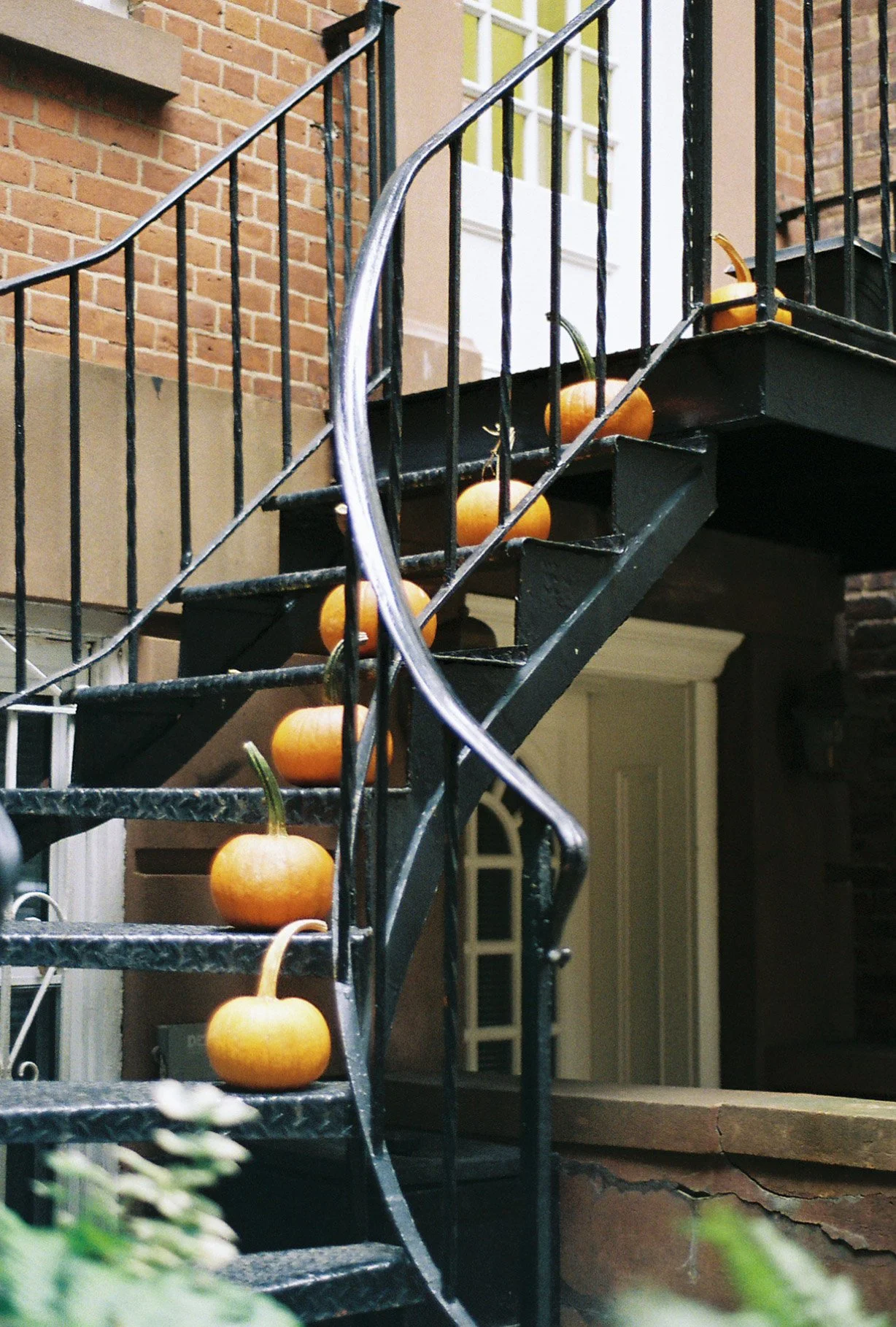 New York, NY
Nikon FM2
Portra 800