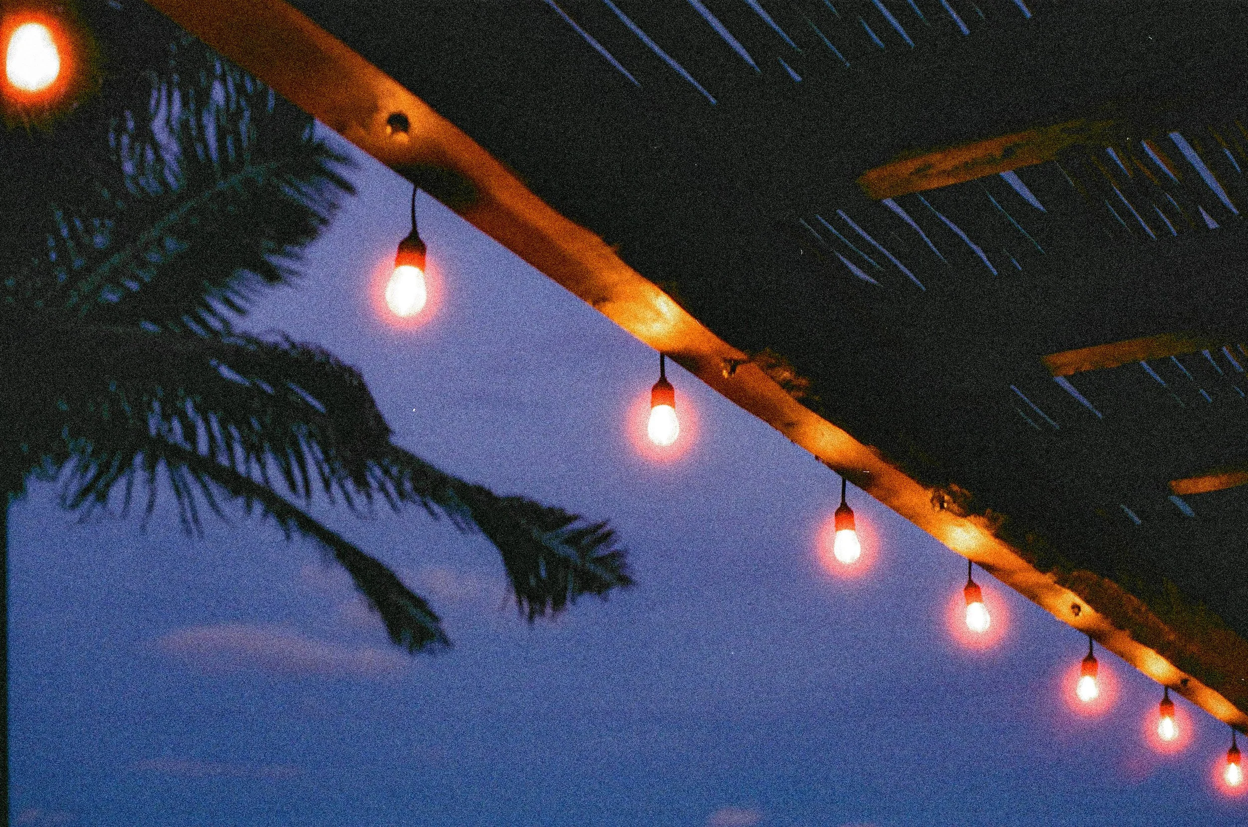 Tulum, Mexico
Nikon FM2
Cinestill 400D