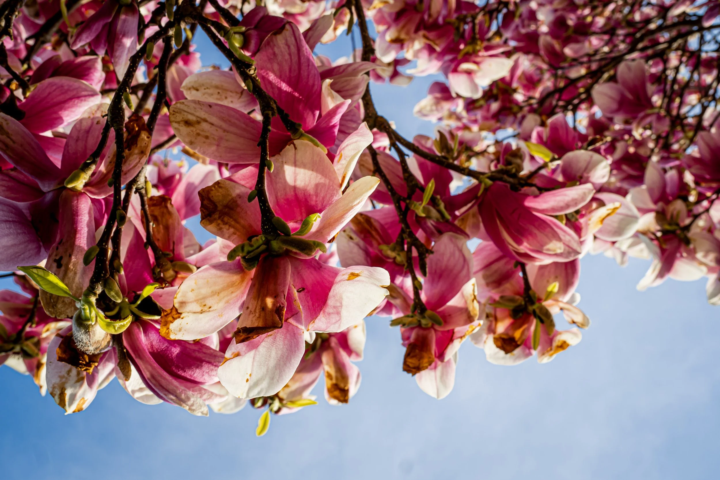 Newport, RI
Sony A6400
Sigma 23mm f/1.4