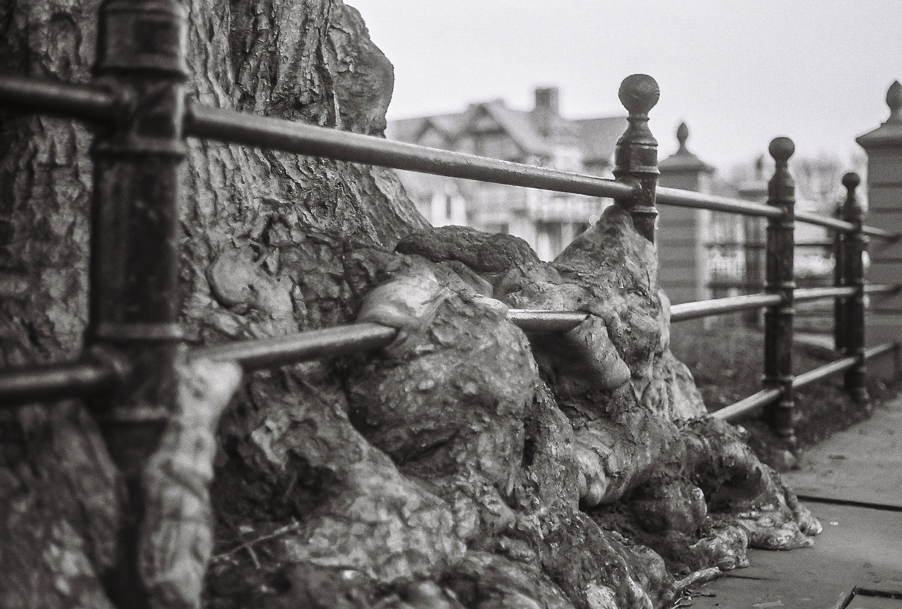 Newport, RI
Canon A1
Ilford 400