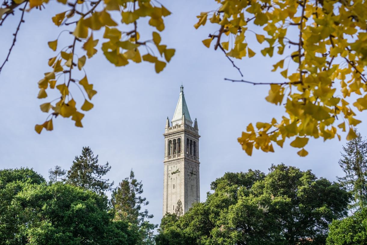A clock tower with a pointed spire rises above green trees, with yellow leaves in the foreground and a clear blue sky in the background.