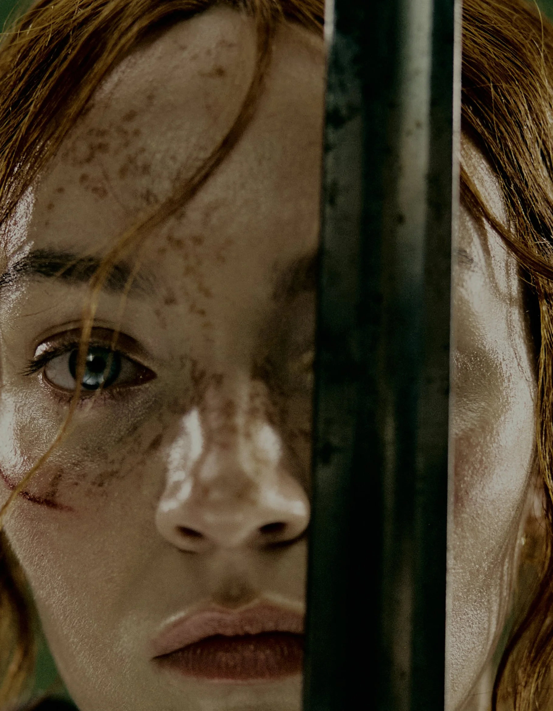 Photo by Fred Gervais