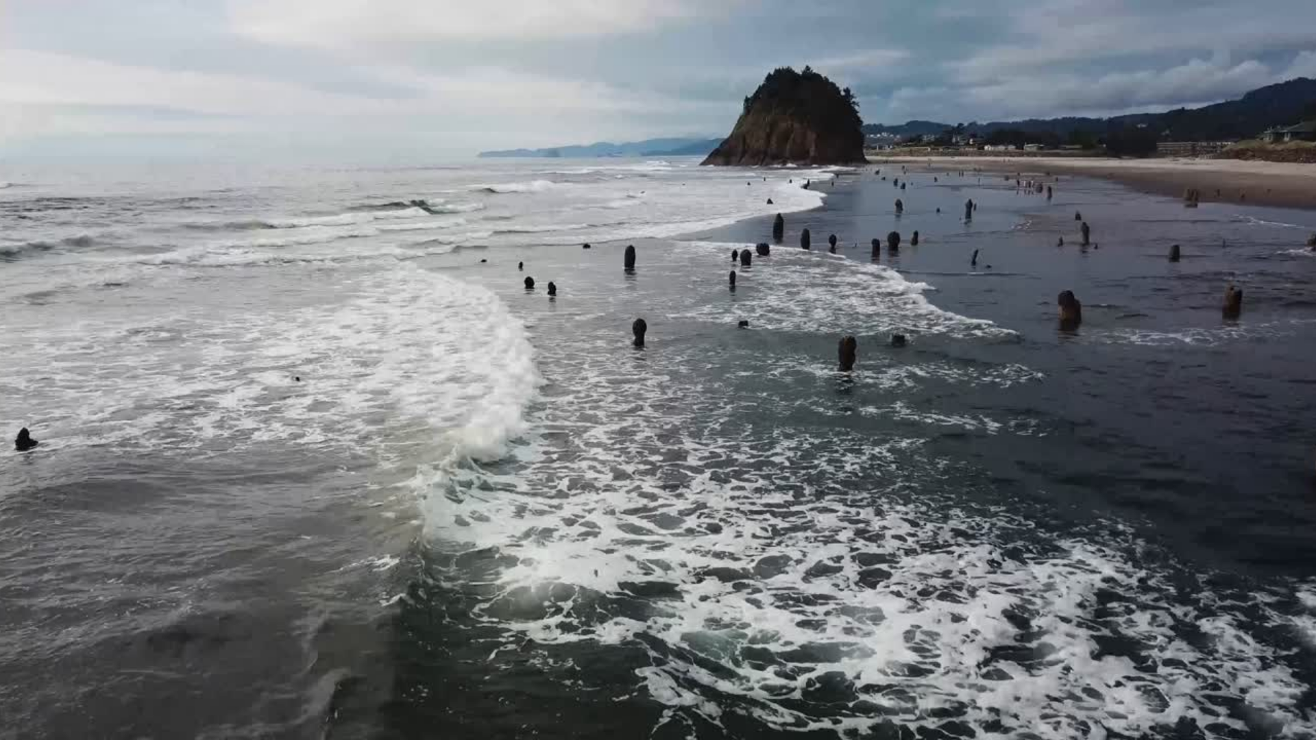 Beach Fallback Image.png