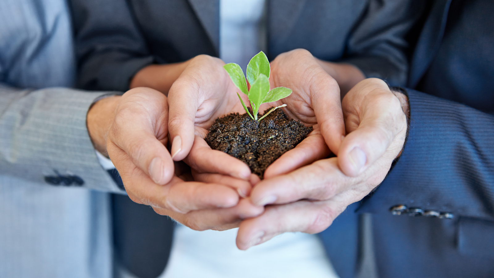 Pillars of Excellence Series: Nurturing Success With Continuous Improvement