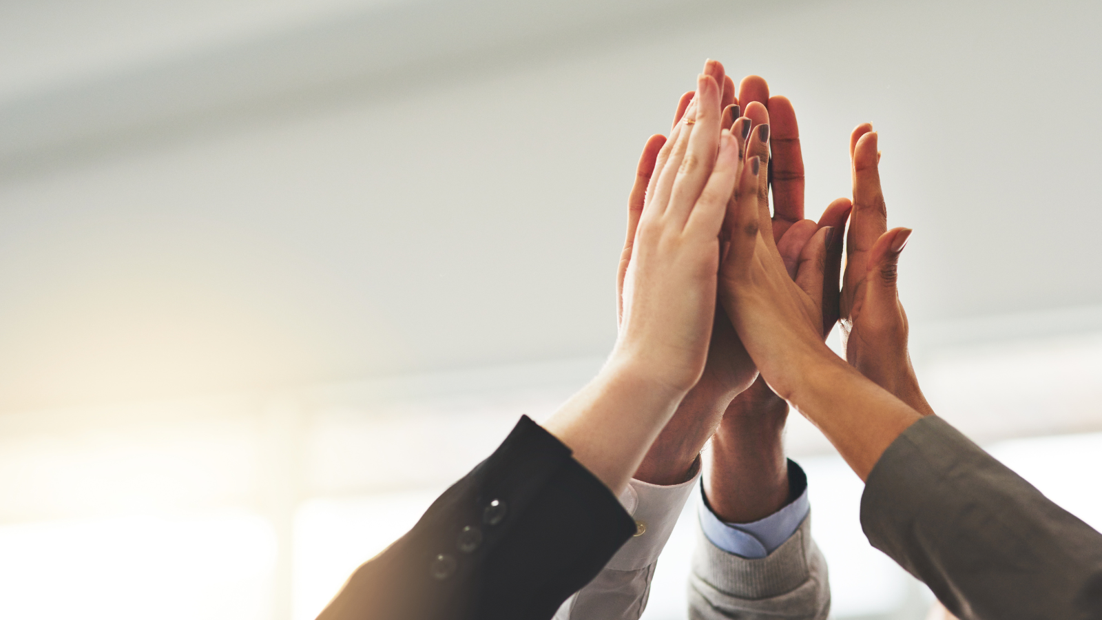 Creating a Culture of Accountability: 4 Strategies for Sustainable Success